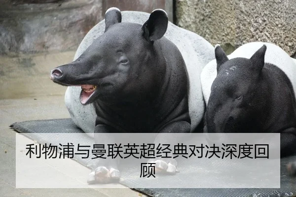 利物浦与曼联英超经典对决深度回顾